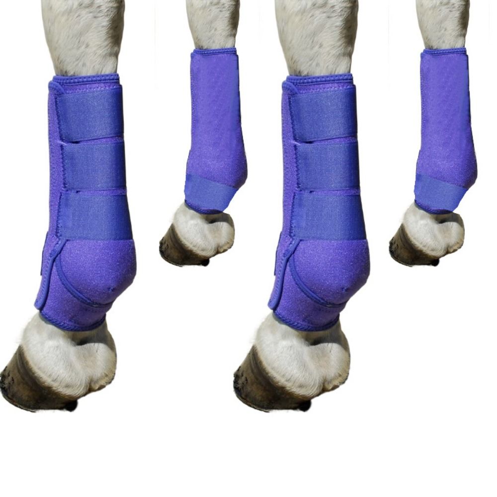 Brushing Boot Horse - 4pcs/set Set Pelindung Kaki Kuda Warna-warni