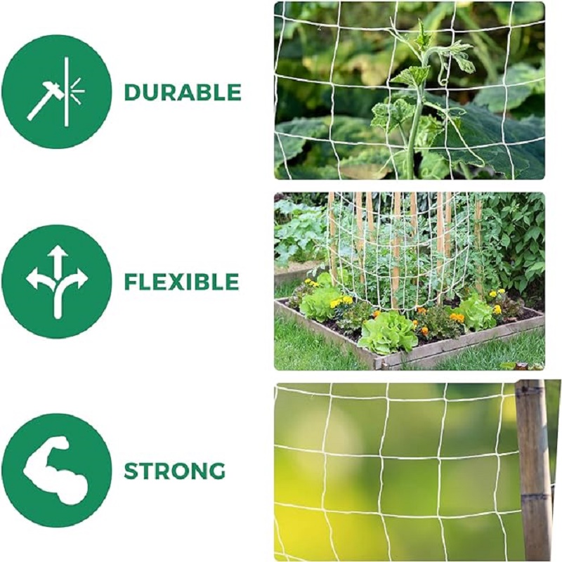 Jaring teralis taman, jaring m - Outdoor Sports Net ulasan dan harga